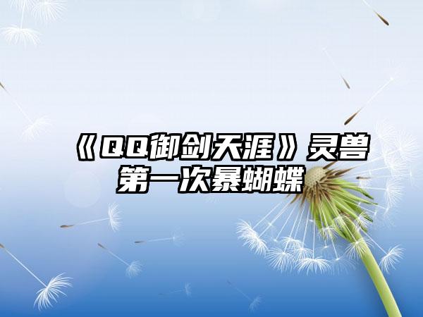 《QQ御剑天涯》灵兽第一次暴蝴蝶
