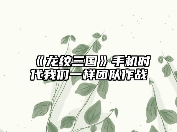 《龙纹三国》手机时代我们一样团队作战