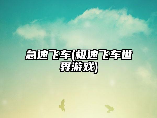 急速飞车(极速飞车世界游戏)