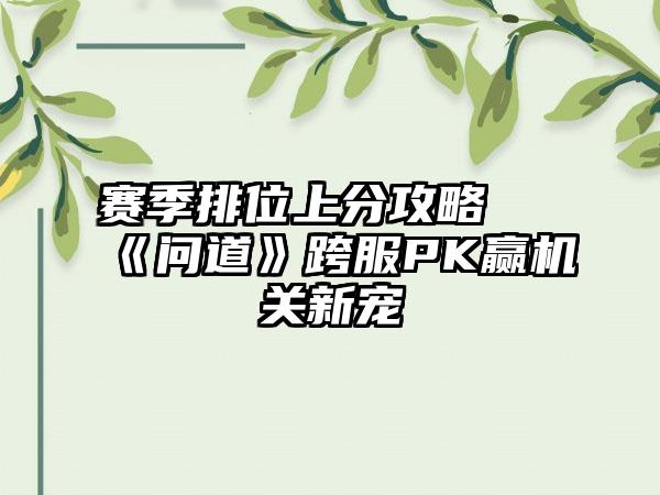 赛季排位上分攻略 《问道》跨服PK赢机关新宠