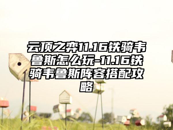 云顶之弈11.16铁骑韦鲁斯怎么玩-11.16铁骑韦鲁斯阵容搭配攻略