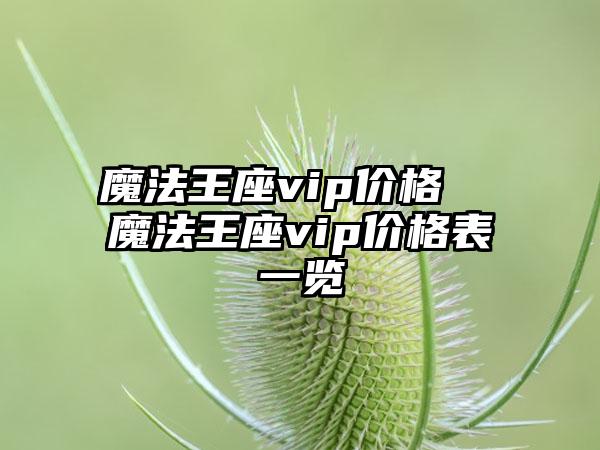 魔法王座vip价格  魔法王座vip价格表一览