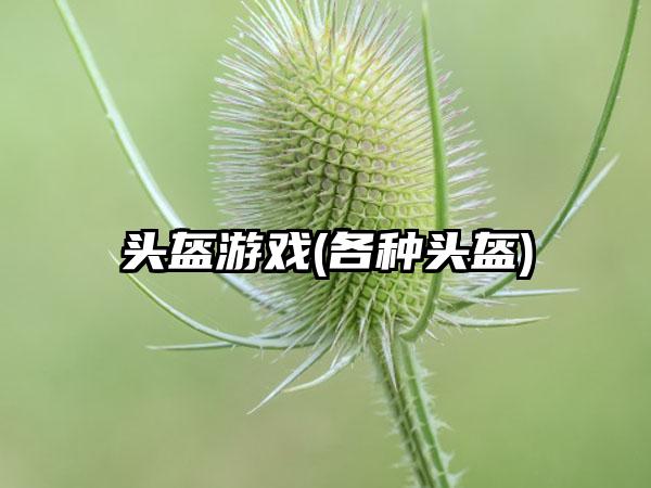 头盔游戏(各种头盔)