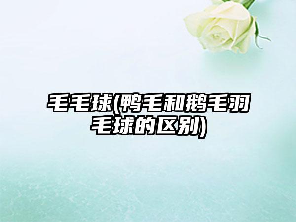 毛毛球(鸭毛和鹅毛羽毛球的区别)
