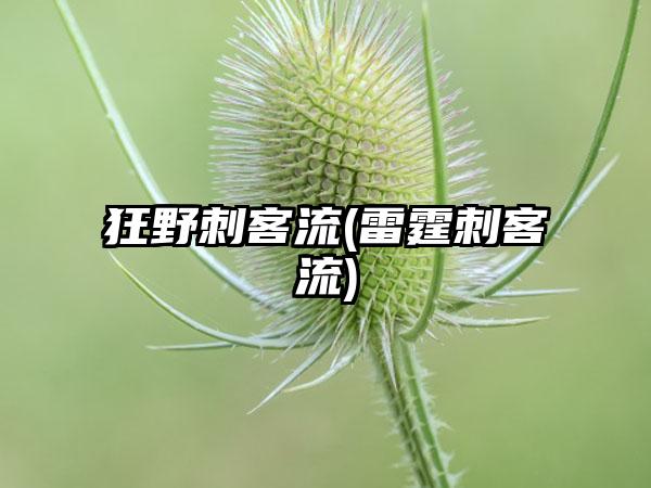 狂野刺客流(雷霆刺客流)