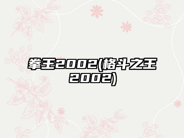 拳王2002(格斗之王2002)