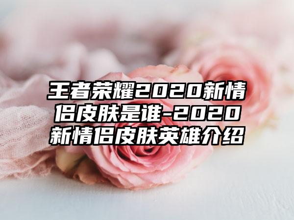 王者荣耀2020新情侣皮肤是谁-2020新情侣皮肤英雄介绍