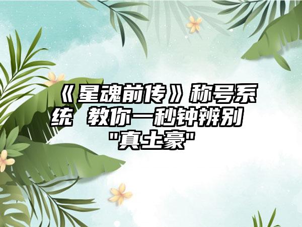 《星魂前传》称号系统 教你一秒钟辨别