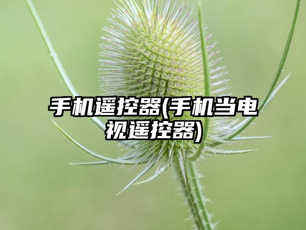 手机遥控器(手机当电视遥控器)