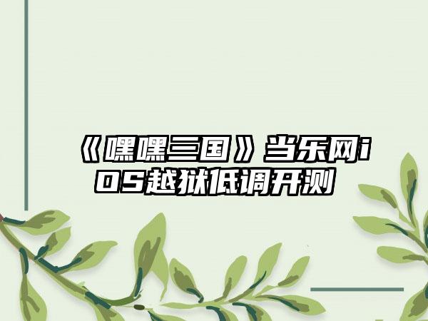 《嘿嘿三国》当乐网iOS越狱低调开测