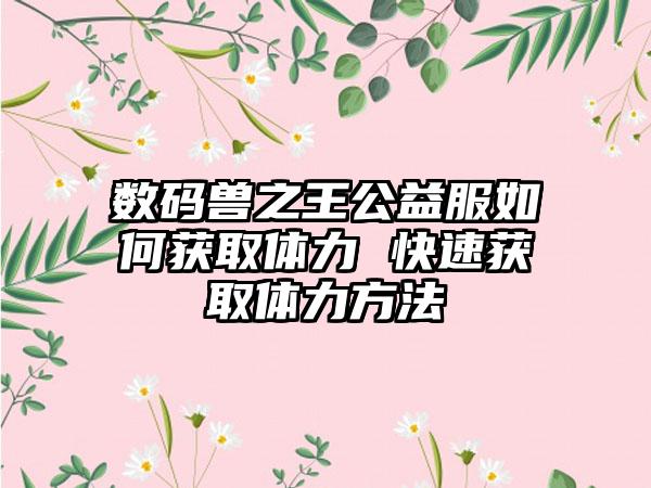 数码兽之王公益服如何获取体力 快速获取体力方法