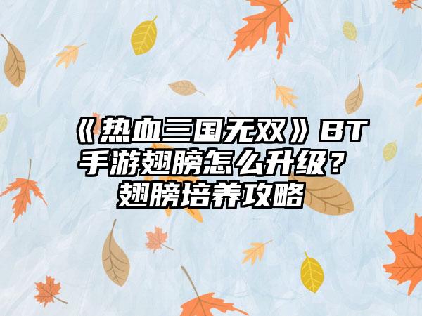 《热血三国无双》BT手游翅膀怎么升级？翅膀培养攻略