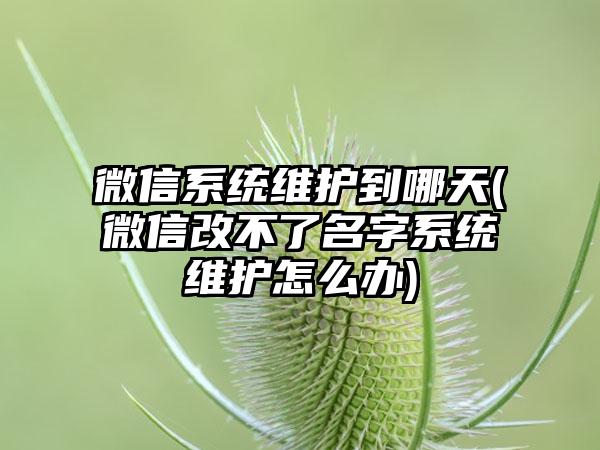 微信系统维护到哪天(微信改不了名字系统维护怎么办)