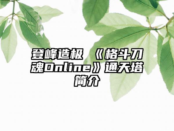 登峰造极 《格斗刀魂Online》通天塔简介