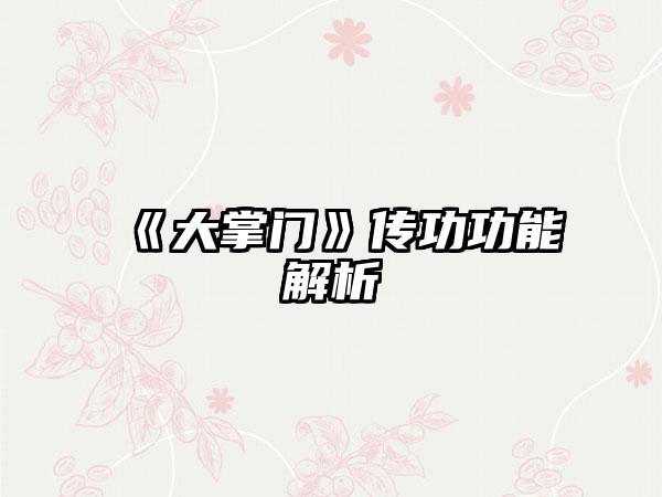 《大掌门》传功功能解析