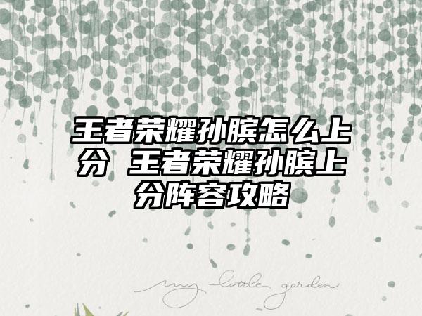 王者荣耀孙膑怎么上分 王者荣耀孙膑上分阵容攻略