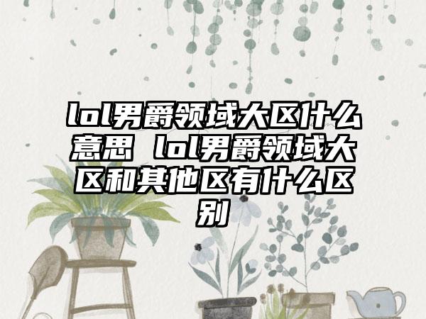 lol男爵领域大区什么意思 lol男爵领域大区和其他区有什么区别