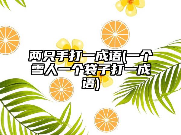 两只手打一成语(一个雪人一个袋子打一成语)