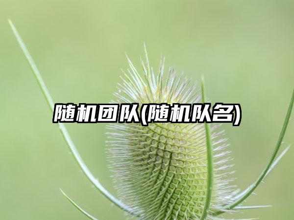 随机团队(随机队名)