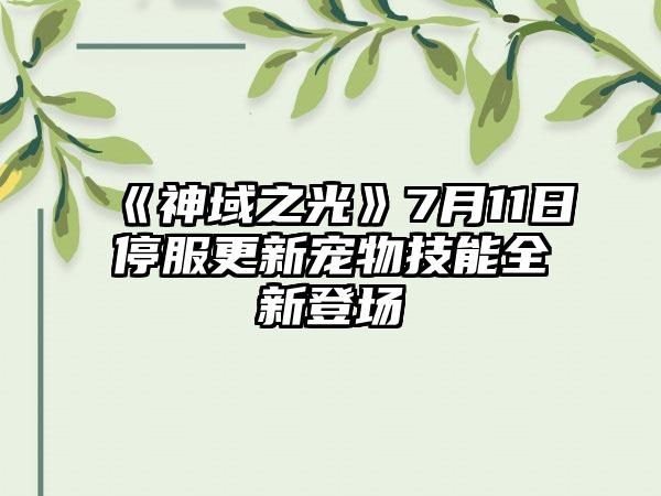 《神域之光》7月11日停服更新宠物技能全新登场