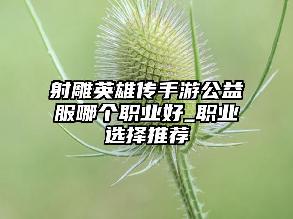 射雕英雄传手游公益服哪个职业好_职业选择推荐