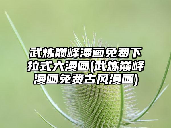 武炼巅峰漫画免费下拉式六漫画(武炼巅峰漫画免费古风漫画)