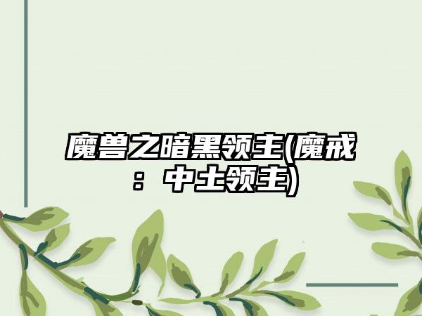 魔兽之暗黑领主(魔戒：中土领主)