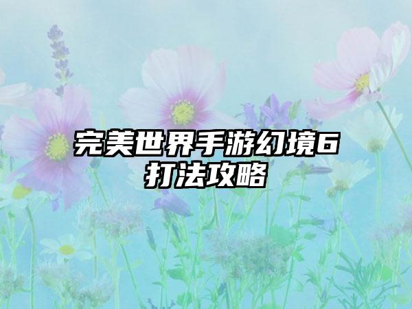 完美世界手游幻境6打法攻略