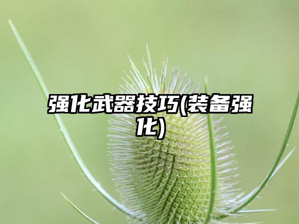 强化武器技巧(装备强化)