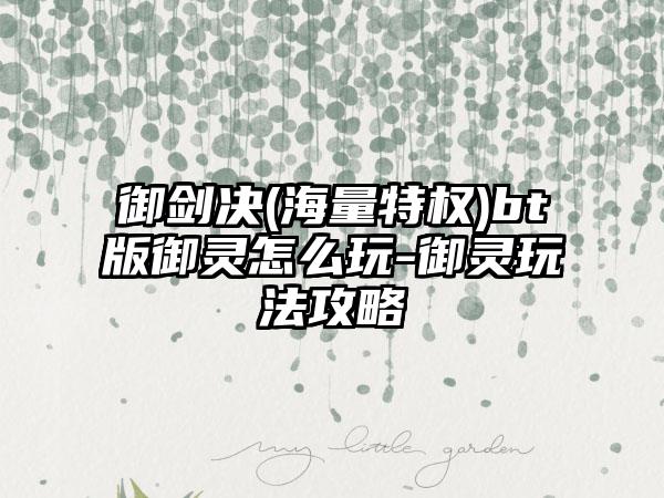 御剑决(海量特权)bt版御灵怎么玩-御灵玩法攻略