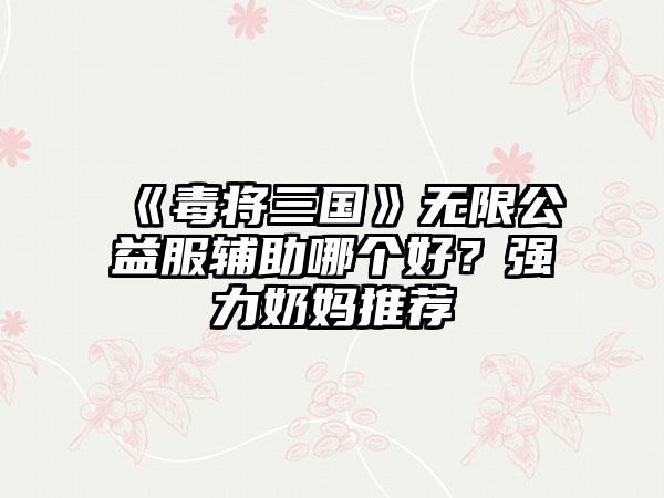 《毒将三国》无限公益服辅助哪个好？强力奶妈推荐