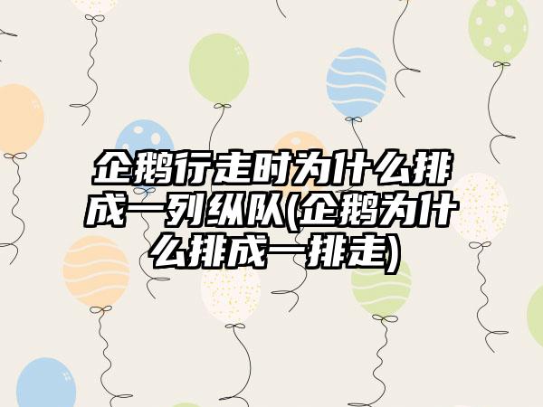 企鹅行走时为什么排成一列纵队(企鹅为什么排成一排走)