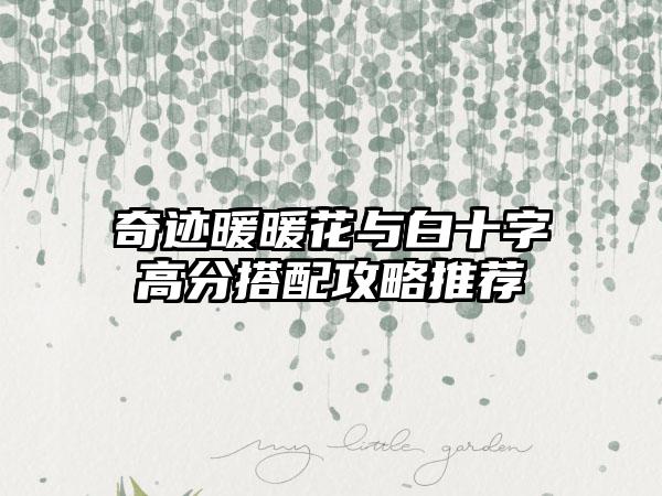 奇迹暖暖花与白十字高分搭配攻略推荐