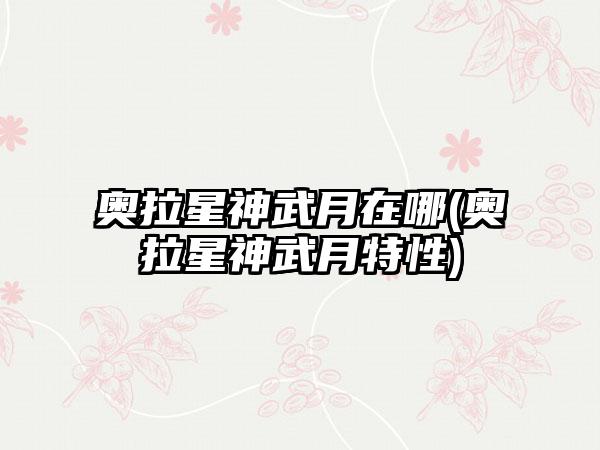 奥拉星神武月在哪(奥拉星神武月特性)