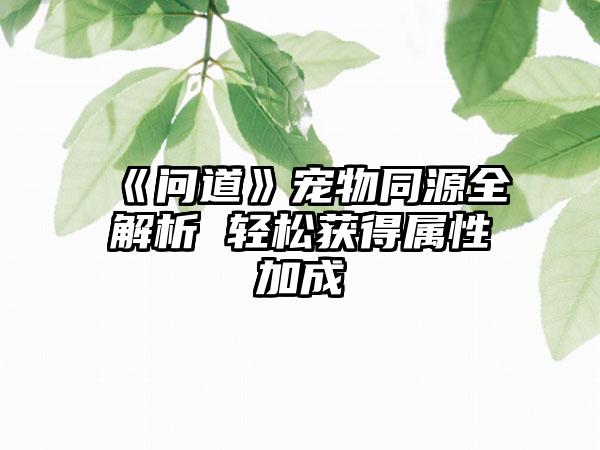 《问道》宠物同源全解析 轻松获得属性加成