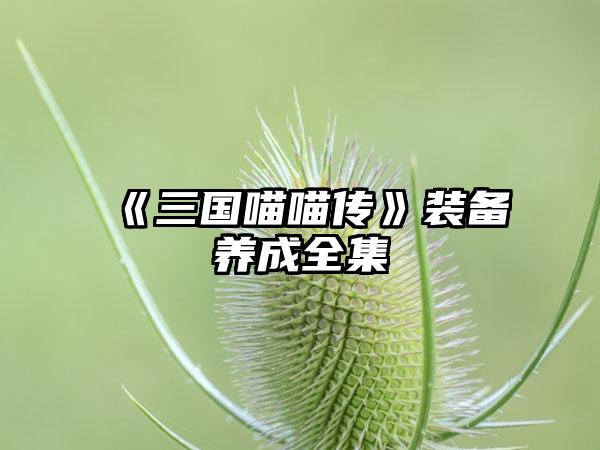 《三国喵喵传》装备养成全集