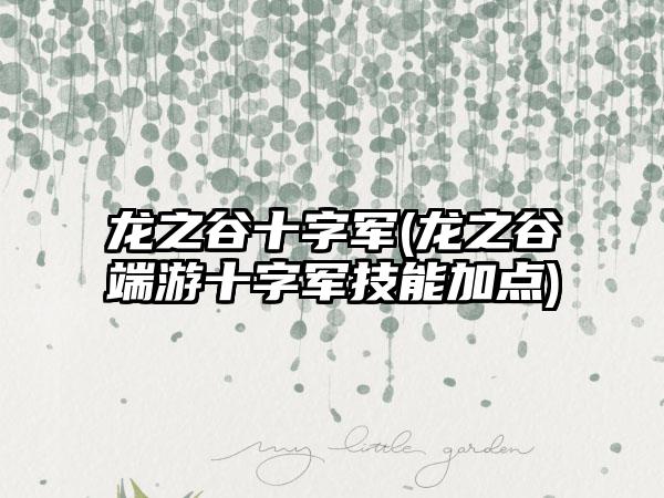 龙之谷十字军(龙之谷端游十字军技能加点)