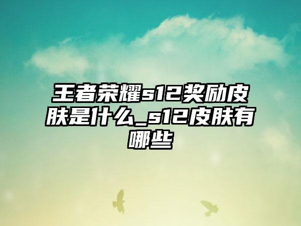 王者荣耀s12奖励皮肤是什么_s12皮肤有哪些