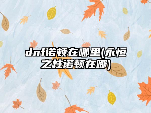 dnf诺顿在哪里(永恒之柱诺顿在哪)
