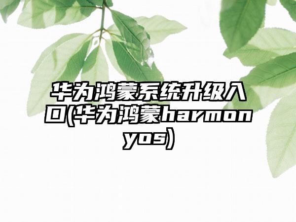 华为鸿蒙系统升级入口(华为鸿蒙harmonyos)