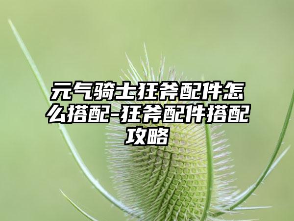 元气骑士狂斧配件怎么搭配-狂斧配件搭配攻略
