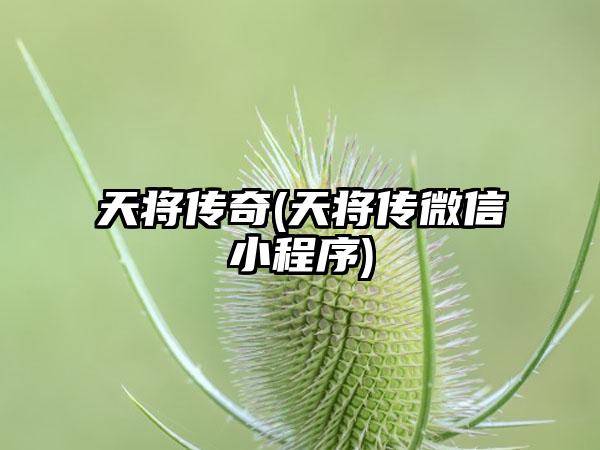 天将传奇(天将传微信小程序)