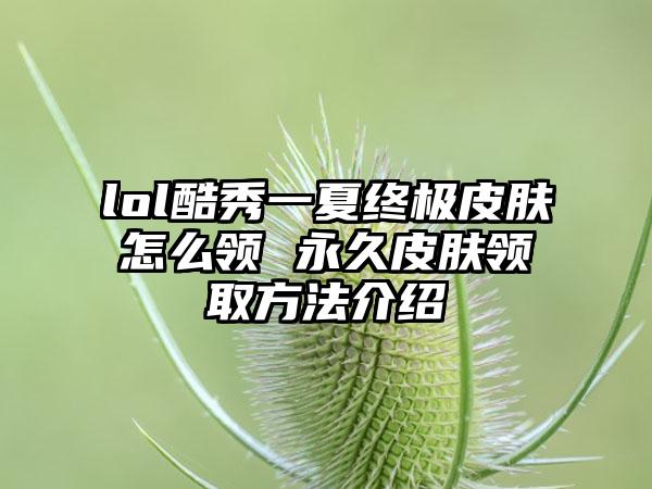 lol酷秀一夏终极皮肤怎么领 永久皮肤领取方法介绍
