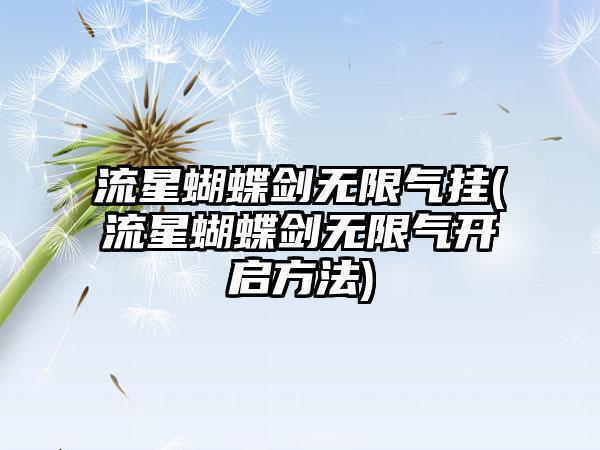 流星蝴蝶剑无限气挂(流星蝴蝶剑无限气开启方法)