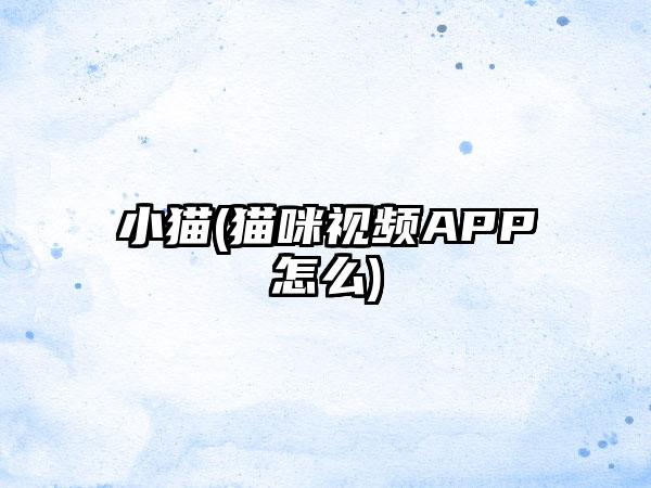 小猫(猫咪视频APP怎么)