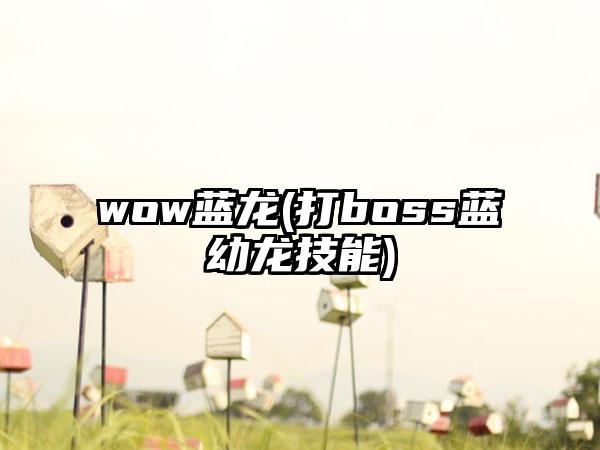 wow蓝龙(打boss蓝幼龙技能)