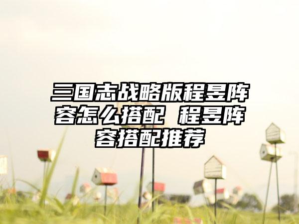 三国志战略版程昱阵容怎么搭配 程昱阵容搭配推荐