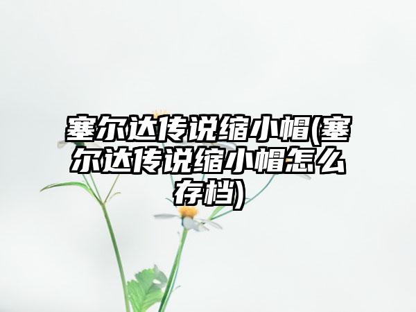 塞尔达传说缩小帽(塞尔达传说缩小帽怎么存档)