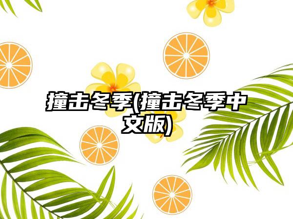 撞击冬季(撞击冬季中文版)