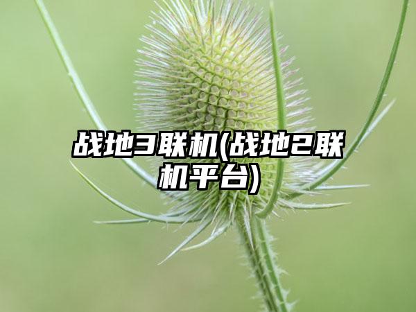 战地3联机(战地2联机平台)